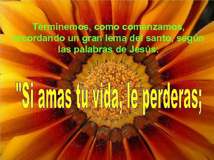 Terminemos, como comenzamos, recordando un gran lema del santo, según las palabras de Jesús: