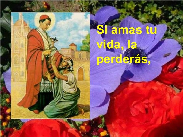 Si amas tu vida, la perderás, 
