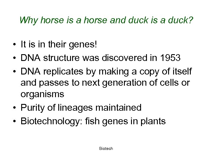 Why horse is a horse and duck is a duck? • It is in