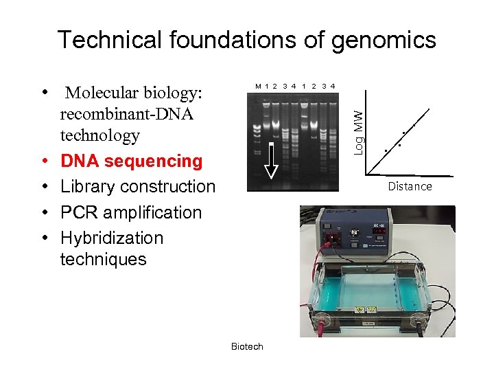 Technical foundations of genomics Log MW • Molecular biology: recombinant-DNA technology • DNA sequencing