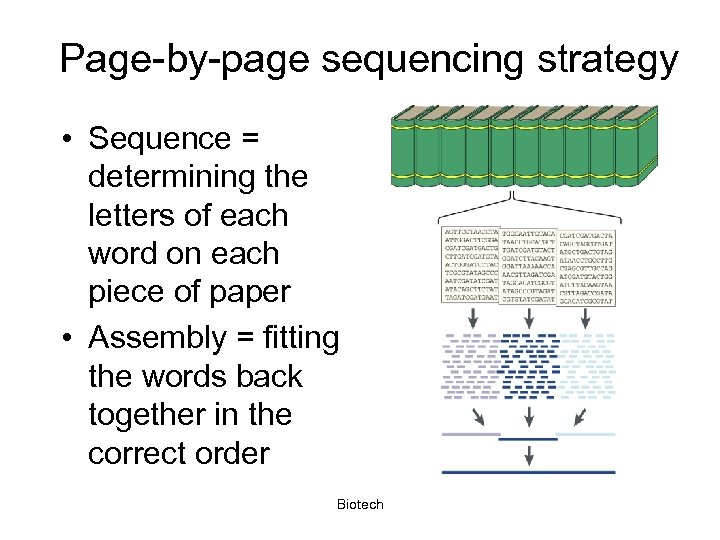 Page-by-page sequencing strategy • Sequence = determining the letters of each word on each