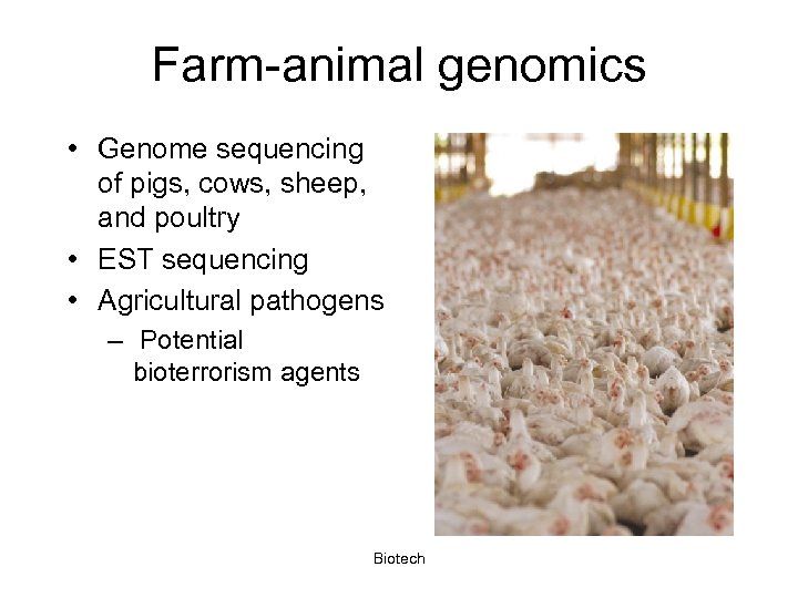 Farm-animal genomics • Genome sequencing of pigs, cows, sheep, and poultry • EST sequencing