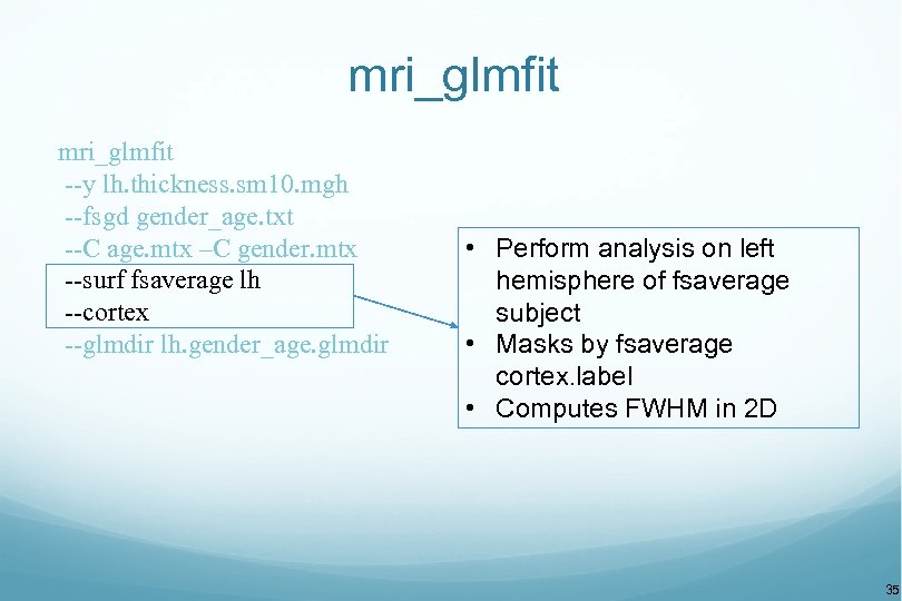 mri_glmfit --y lh. thickness. sm 10. mgh --fsgd gender_age. txt --C age. mtx –C