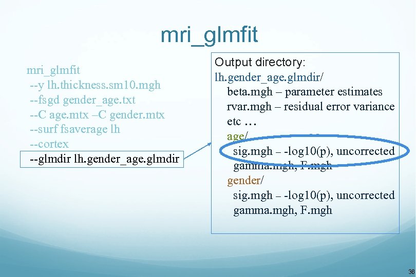 mri_glmfit --y lh. thickness. sm 10. mgh --fsgd gender_age. txt --C age. mtx –C