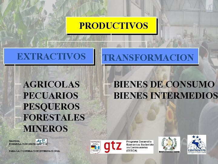 PRODUCTIVOS EXTRACTIVOS AGRICOLAS PECUARIOS PESQUEROS FORESTALES MINEROS MANUAL FORMULACIÓN DE PROYECTOS PARA LA COOPERACIÓN