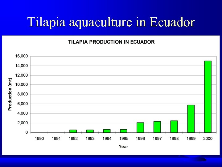 Tilapia aquaculture in Ecuador 