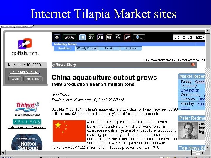 Internet Tilapia Market sites 