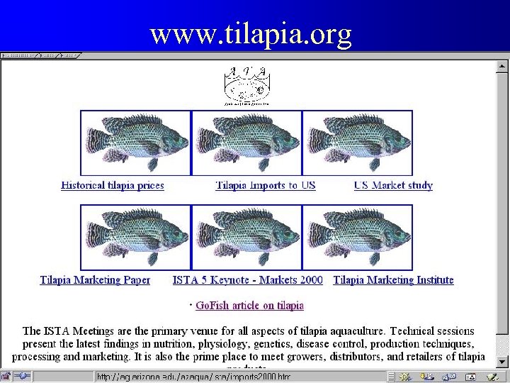 www. tilapia. org 