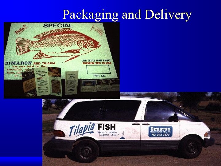 Packaging and Delivery 