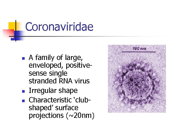 Coronaviridae n n n A family of large, enveloped, positivesense single stranded RNA virus