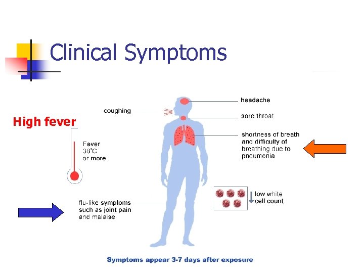 Clinical Symptoms High fever 