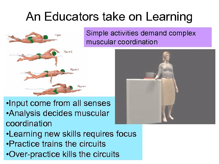 An Educators take on Learning Simple activities demand complex muscular coordination • Input come