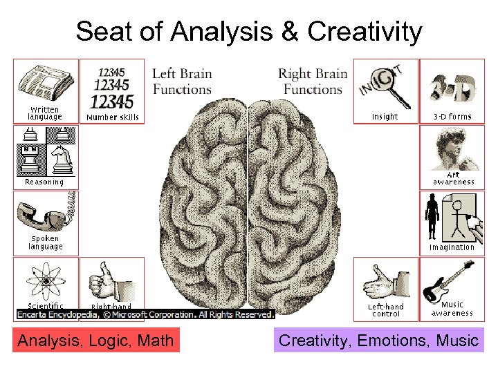 Seat of Analysis & Creativity Analysis, Logic, Math Creativity, Emotions, Music 