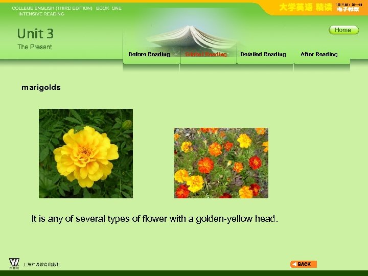 Before Reading Global Reading Detailed Reading marigolds It is any of several types of