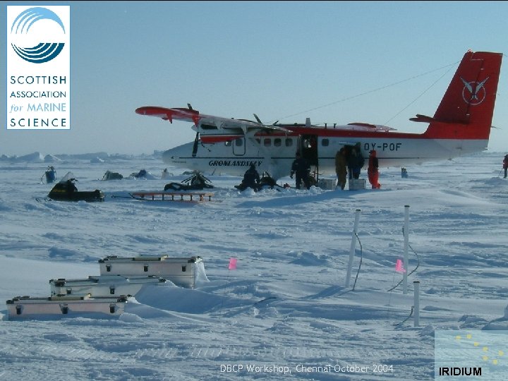 DBCP Workshop, Chennai October 2004 IRIDIUM 