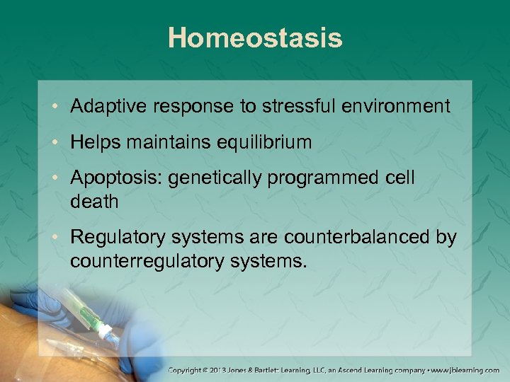 Homeostasis • Adaptive response to stressful environment • Helps maintains equilibrium • Apoptosis: genetically