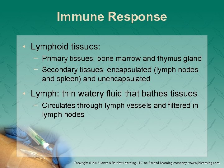 Immune Response • Lymphoid tissues: − Primary tissues: bone marrow and thymus gland −
