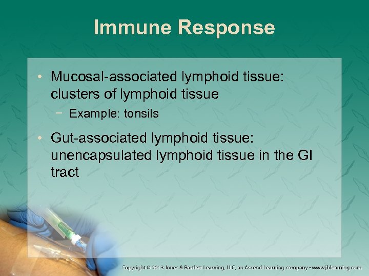 Immune Response • Mucosal-associated lymphoid tissue: clusters of lymphoid tissue − Example: tonsils •