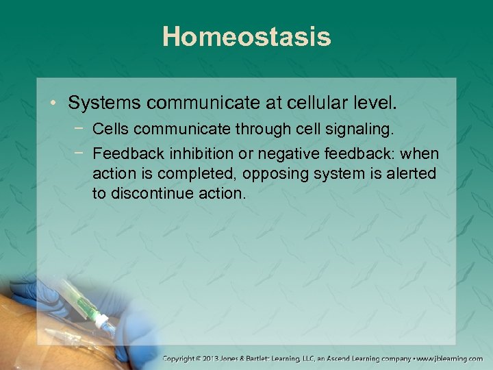 Homeostasis • Systems communicate at cellular level. − Cells communicate through cell signaling. −