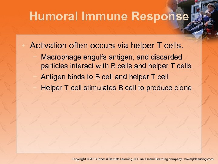 Humoral Immune Response • Activation often occurs via helper T cells. − Macrophage engulfs