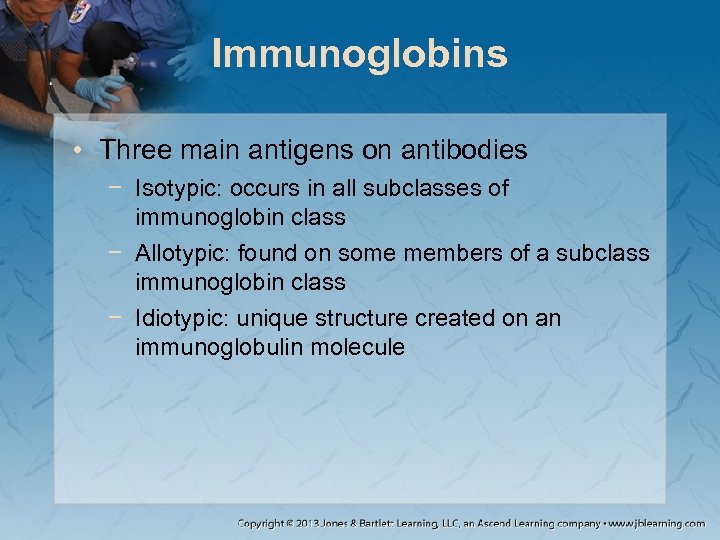 Immunoglobins • Three main antigens on antibodies − Isotypic: occurs in all subclasses of