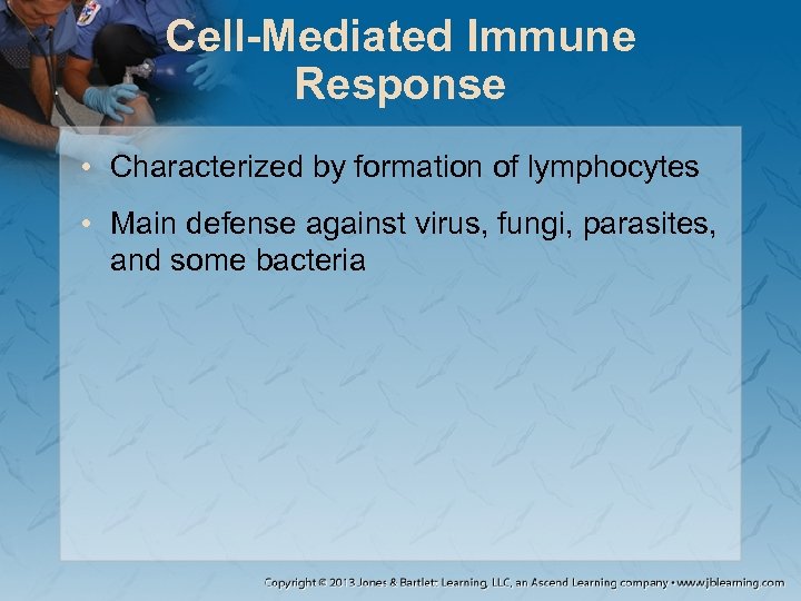 Cell-Mediated Immune Response • Characterized by formation of lymphocytes • Main defense against virus,