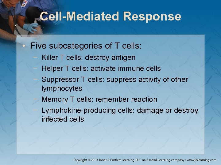 Cell-Mediated Response • Five subcategories of T cells: − Killer T cells: destroy antigen