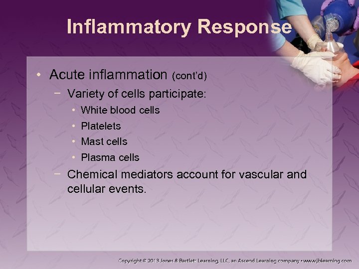 Inflammatory Response • Acute inflammation (cont’d) − Variety of cells participate: • • White