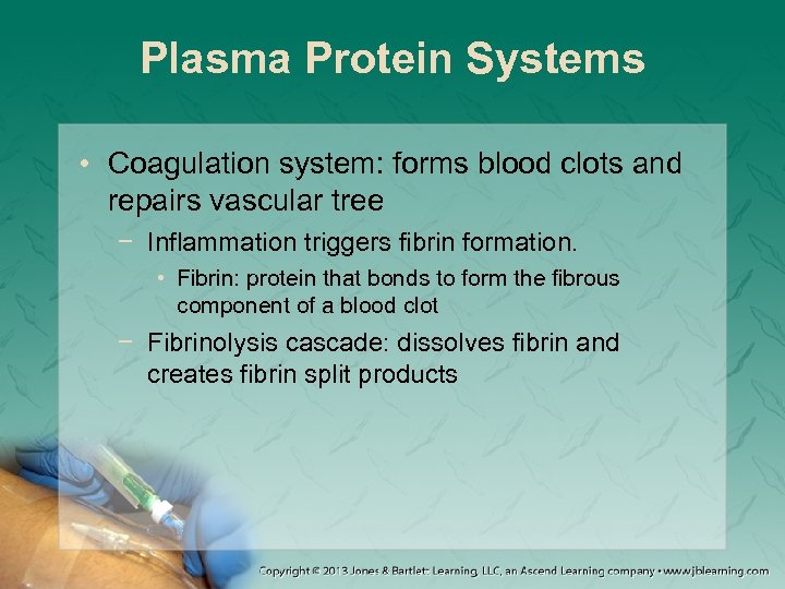 Plasma Protein Systems • Coagulation system: forms blood clots and repairs vascular tree −