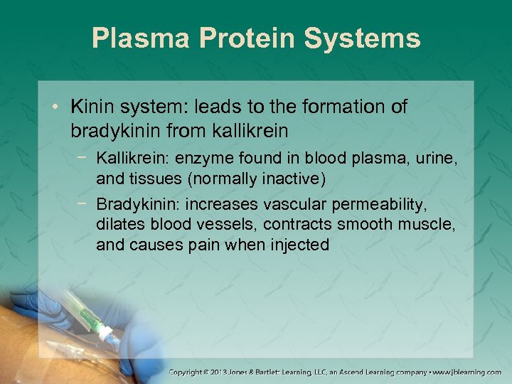 Plasma Protein Systems • Kinin system: leads to the formation of bradykinin from kallikrein