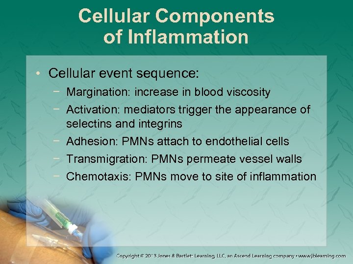 Cellular Components of Inflammation • Cellular event sequence: − Margination: increase in blood viscosity