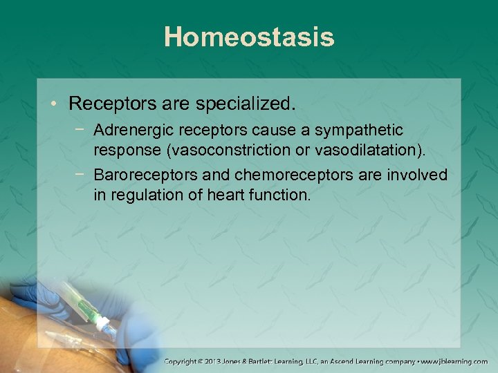 Homeostasis • Receptors are specialized. − Adrenergic receptors cause a sympathetic response (vasoconstriction or