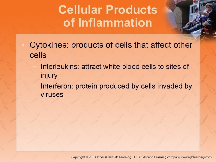 Cellular Products of Inflammation • Cytokines: products of cells that affect other cells −