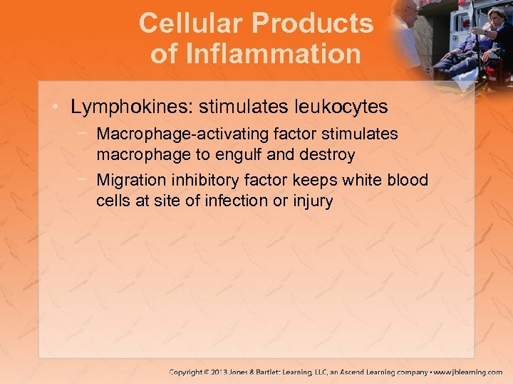 Cellular Products of Inflammation • Lymphokines: stimulates leukocytes − Macrophage-activating factor stimulates macrophage to