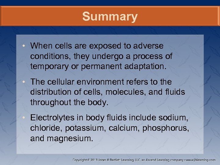 Summary • When cells are exposed to adverse conditions, they undergo a process of