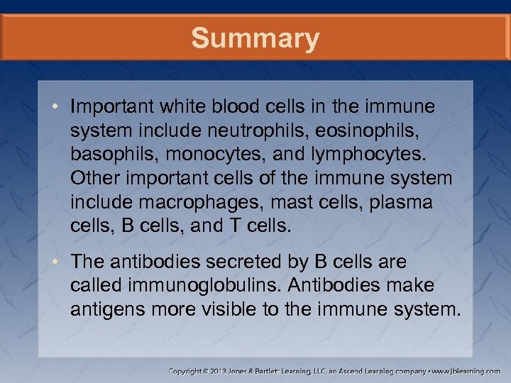 Summary • Important white blood cells in the immune system include neutrophils, eosinophils, basophils,