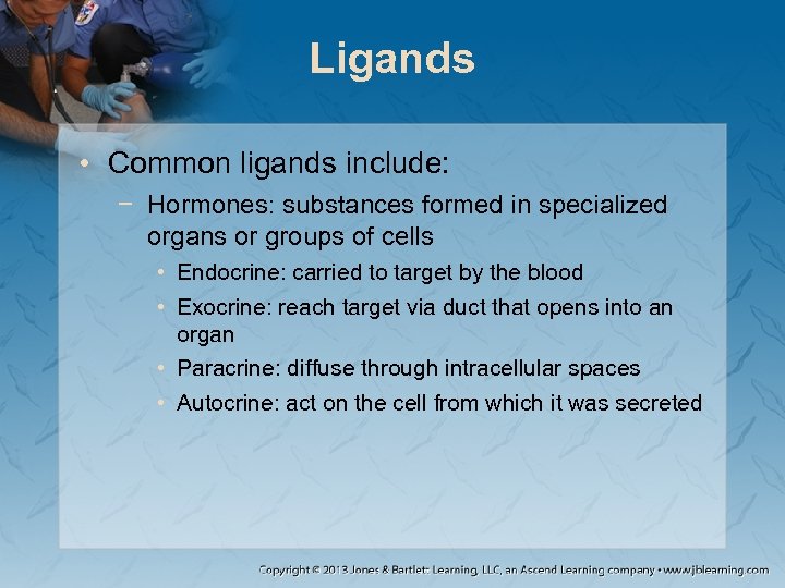 Ligands • Common ligands include: − Hormones: substances formed in specialized organs or groups