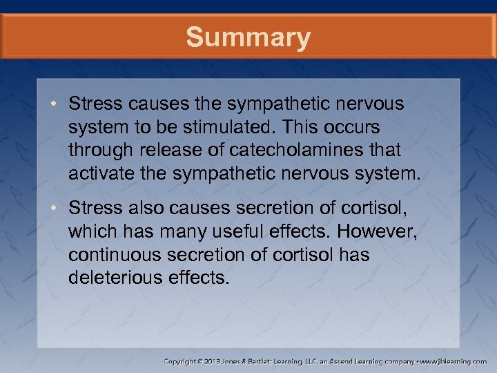 Summary • Stress causes the sympathetic nervous system to be stimulated. This occurs through