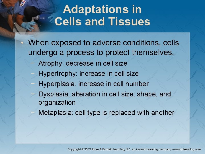Adaptations in Cells and Tissues • When exposed to adverse conditions, cells undergo a