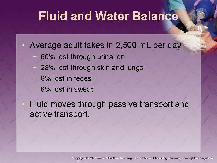 Fluid and Water Balance • Average adult takes in 2, 500 m. L per