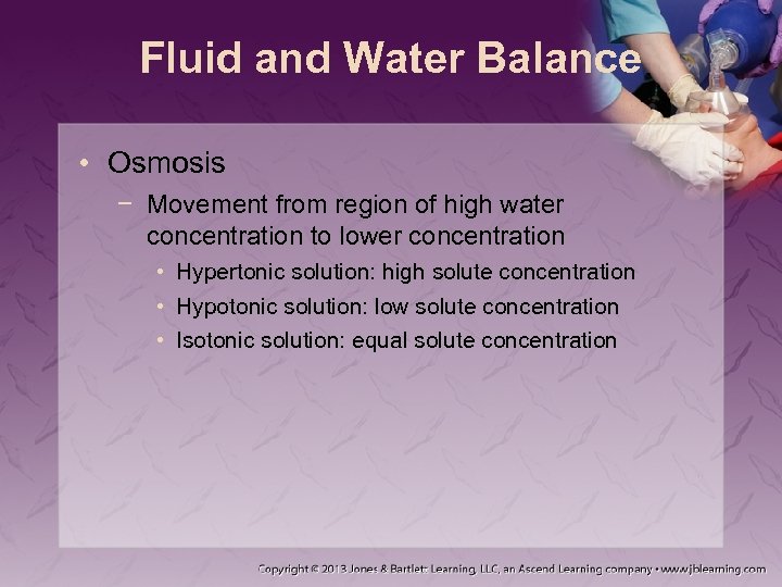 Fluid and Water Balance • Osmosis − Movement from region of high water concentration