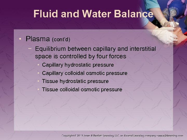 Fluid and Water Balance • Plasma (cont’d) − Equilibrium between capillary and interstitial space