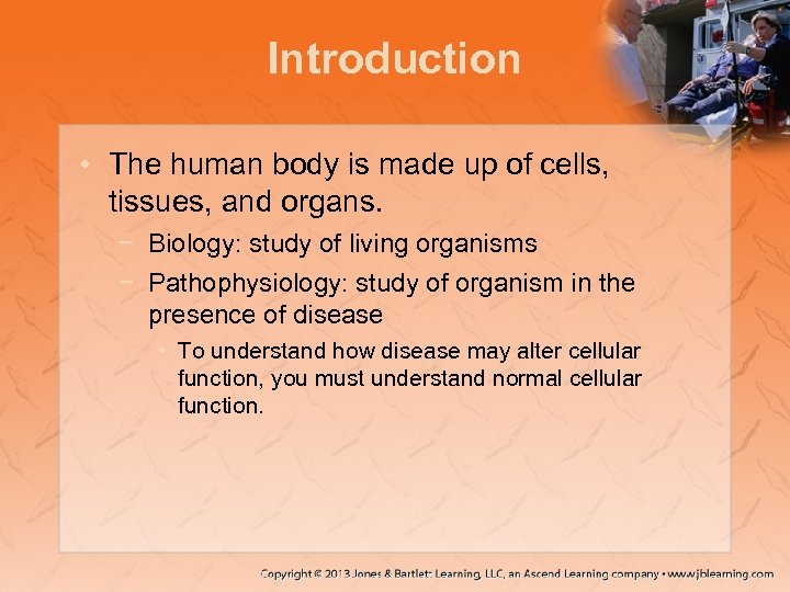 Introduction • The human body is made up of cells, tissues, and organs. −