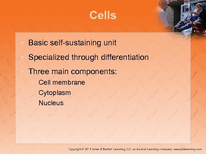 Cells • Basic self-sustaining unit • Specialized through differentiation • Three main components: −