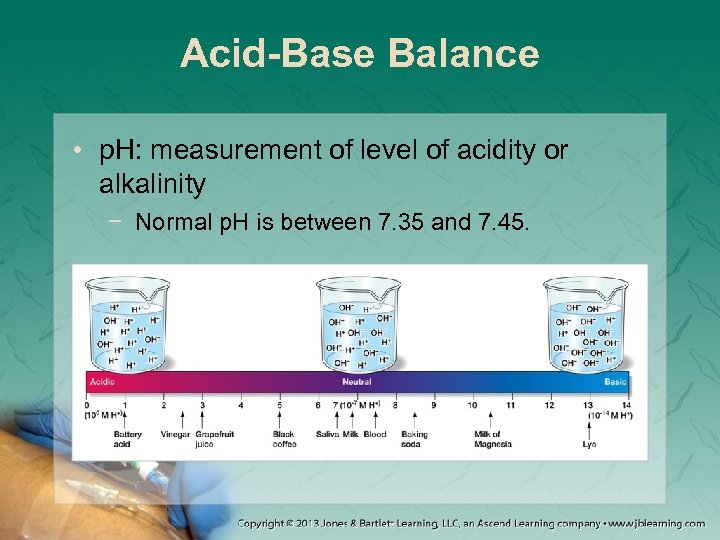 Acid-Base Balance • p. H: measurement of level of acidity or alkalinity − Normal