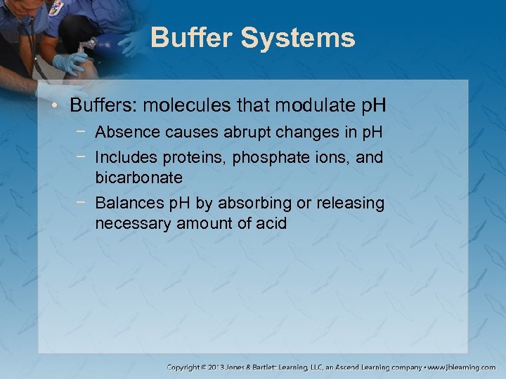 Buffer Systems • Buffers: molecules that modulate p. H − Absence causes abrupt changes