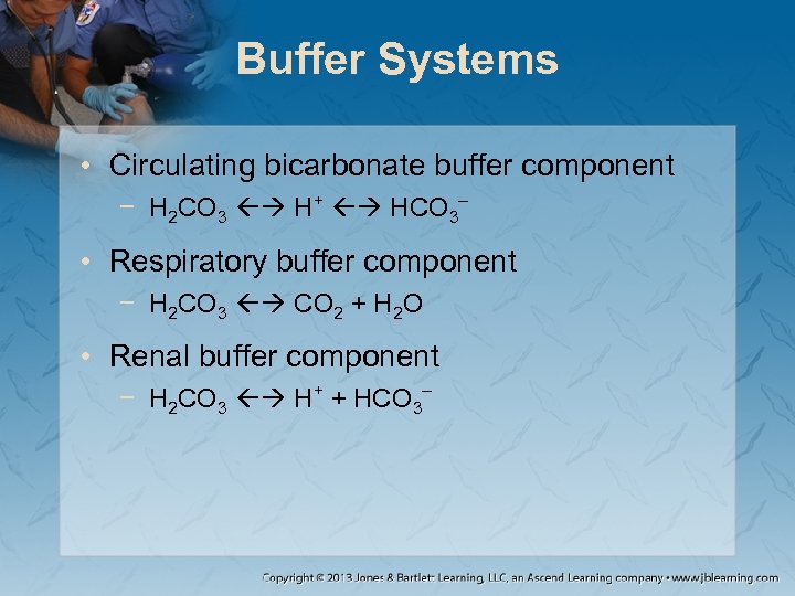 Buffer Systems • Circulating bicarbonate buffer component − H 2 CO 3 H+ HCO