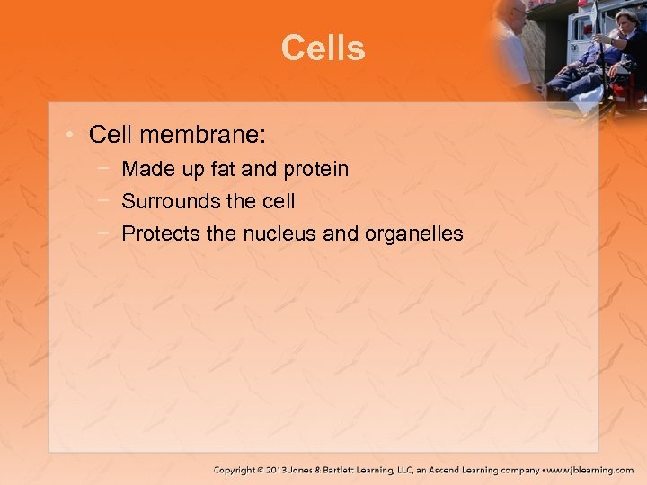 Cells • Cell membrane: − Made up fat and protein − Surrounds the cell