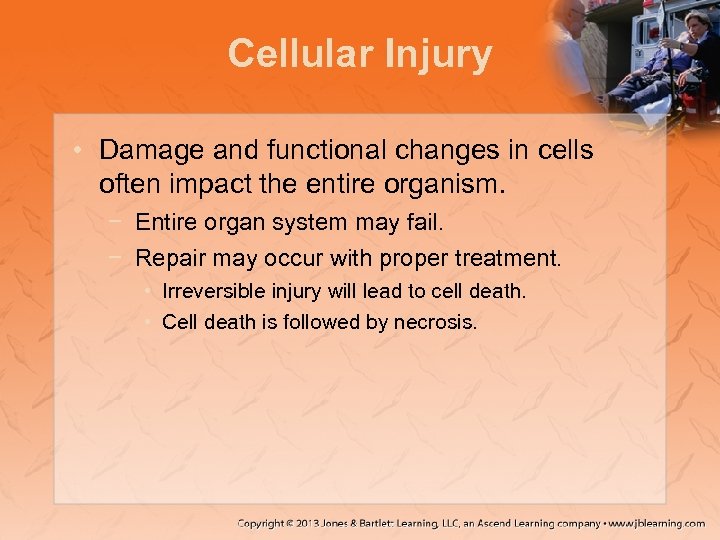 Cellular Injury • Damage and functional changes in cells often impact the entire organism.