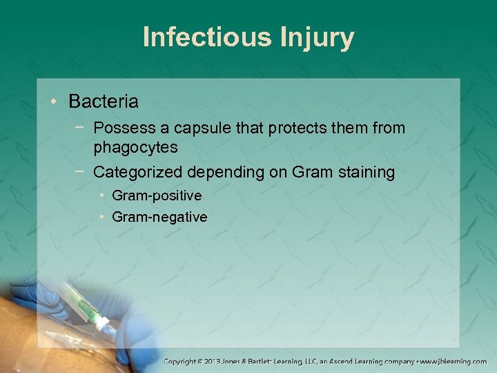 Infectious Injury • Bacteria − Possess a capsule that protects them from phagocytes −